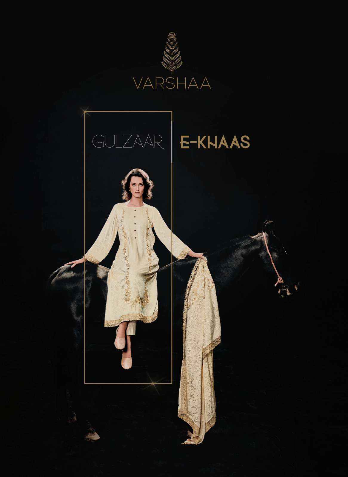 Varsha Gulzaar E Khaas Partywear Velvet Suit Winter collection wholesale price ( 6 pcs catalog )